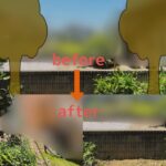 作業前後の写真