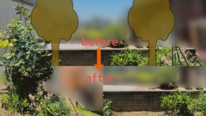 作業前後の写真