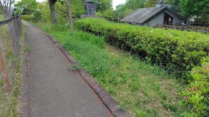 草刈り・芝刈り作業写真