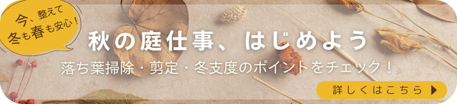 秋の庭仕事、はじめよう