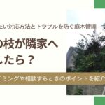 庭木がとなりの家に越境したら