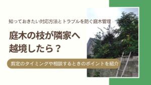 庭木がとなりの家に越境したら