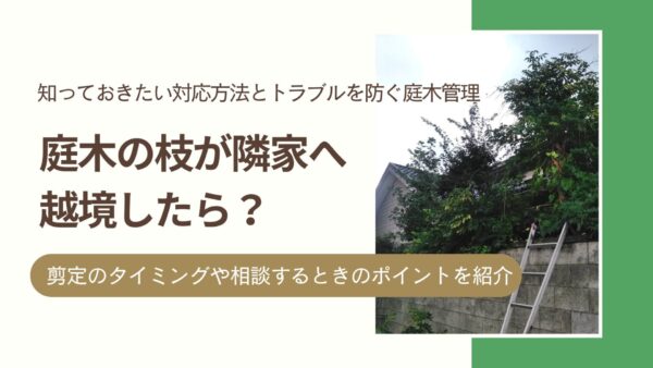 庭木がとなりの家に越境したら