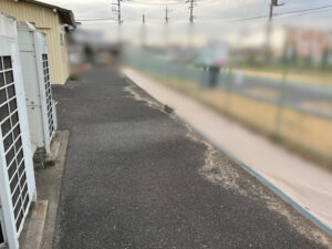 高木伐採、ソテツ抜根、草刈り、除草剤散布、防草シート張り、切株処分