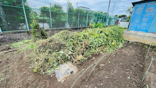 畑の整理の作業写真