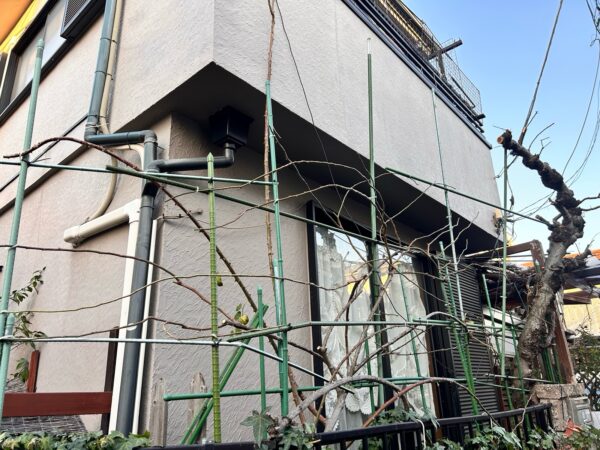 バラの剪定・誘引、りんご・ブドウの木の剪定の作業写真