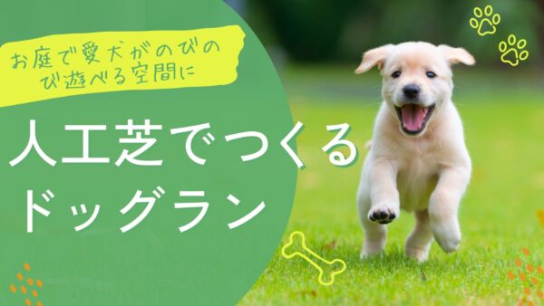 人工芝でつくるドッグラン アイキャッチ