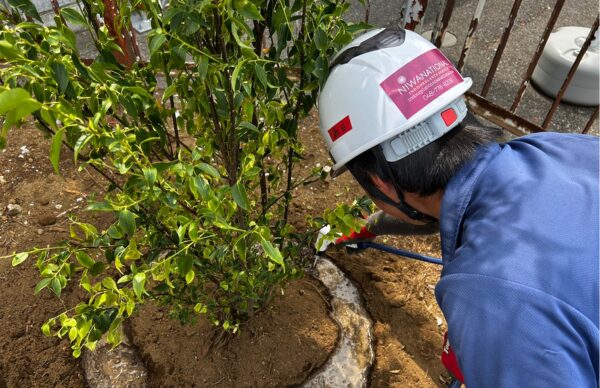 ニワナショナルの植栽職人による丁寧な作業風景