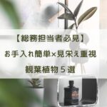 【総務担当者必見】お手入れ簡単×見栄え重視の観葉植物5選