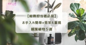 【総務担当者必見】お手入れ簡単×見栄え重視の観葉植物５選