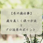 体力が不安でも大丈夫！冬に庭を美しく保つ方法とプロ活用のポイント