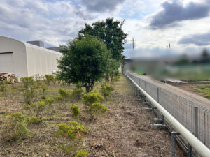 会社敷地内の除草作業（草刈り）　作業写真