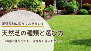 天然芝の種類と選び方　アイキャッチ