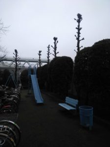 2.17　東京都北区　マンション　植栽管理