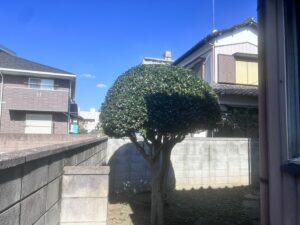 剪定の作業写真