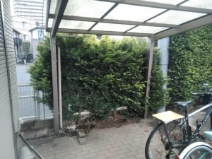 2.22　練馬区　庭木伐採　砂利敷き