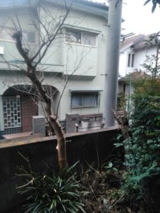 3.4　庭木伐採　足立区