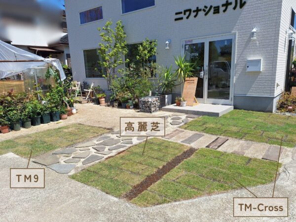 店舗前 天然芝の比較