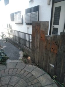 3.20　さいたま市　シマトネリコ　伐採