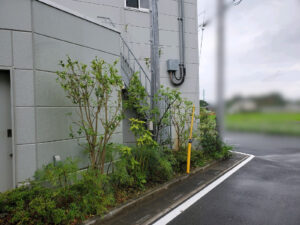 剪定・刈込・除草の作業写真