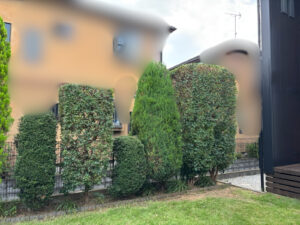 刈込・芝刈りの作業写真