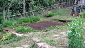 畑の耕運・野菜の植え付けの作業写真