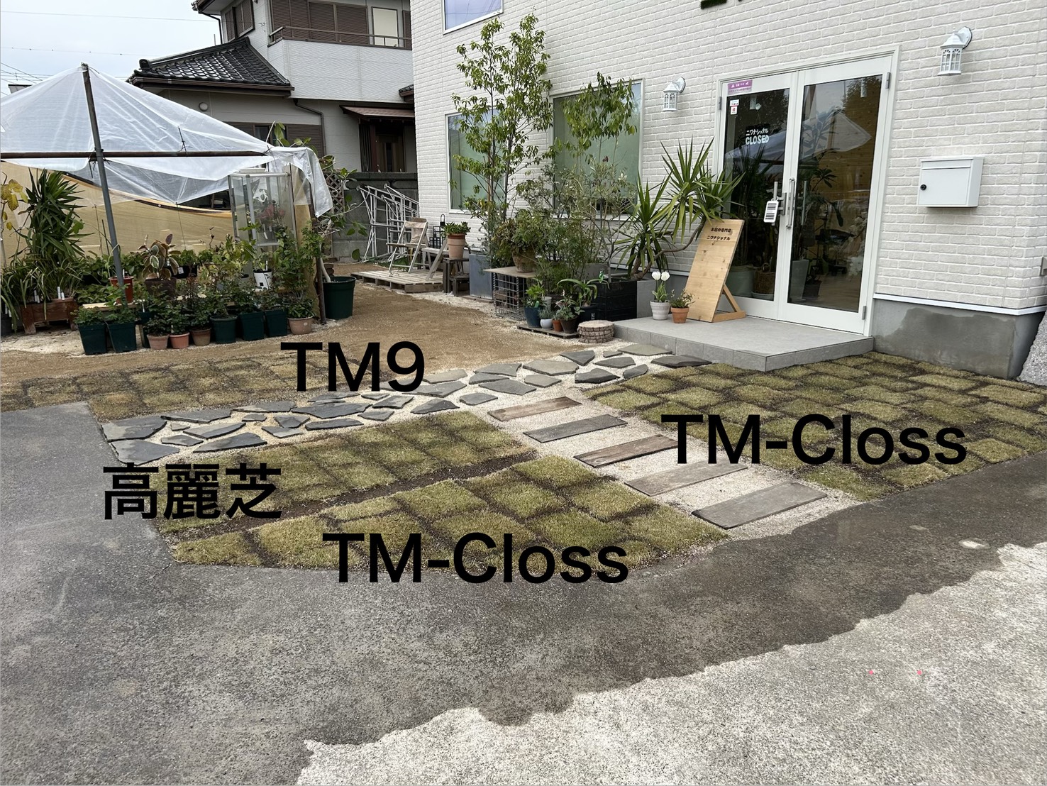 芝生張り替えプラン  （はがし＋整地＋新規芝張り）