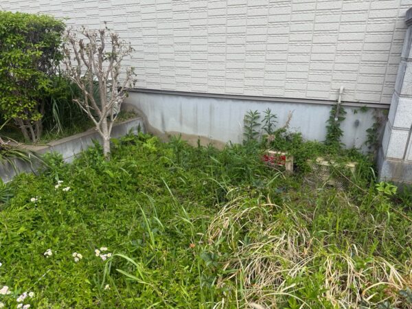 ドッグランづくり(人工芝張り)、植栽の移植・抜根の作業写真