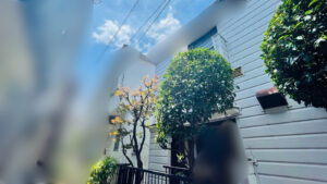 作業後写真