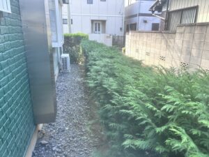 剪定の作業写真