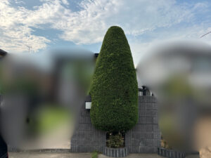 刈込・芝刈りの作業写真