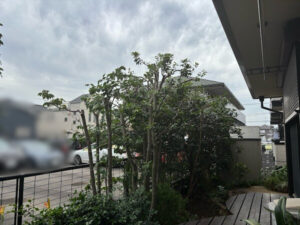 伐採・剪定・刈込の作業写真