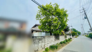 作業前写真