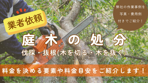 庭木の処分　アイキャッチ