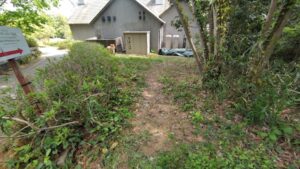 草刈り・芝刈り作業写真