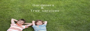 tree&gardeners