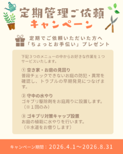 定期管理キャンペーン アイキャッチ
