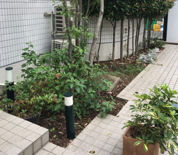 植栽をイメチェン お庭の専門店ニワナショナル 東京 埼玉