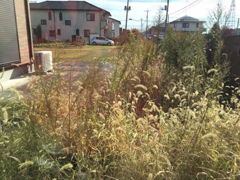 雑草対策の方法 お庭の専門店ニワナショナル 東京 埼玉