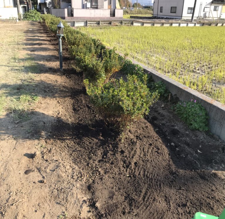 地 植え 土壌 改良