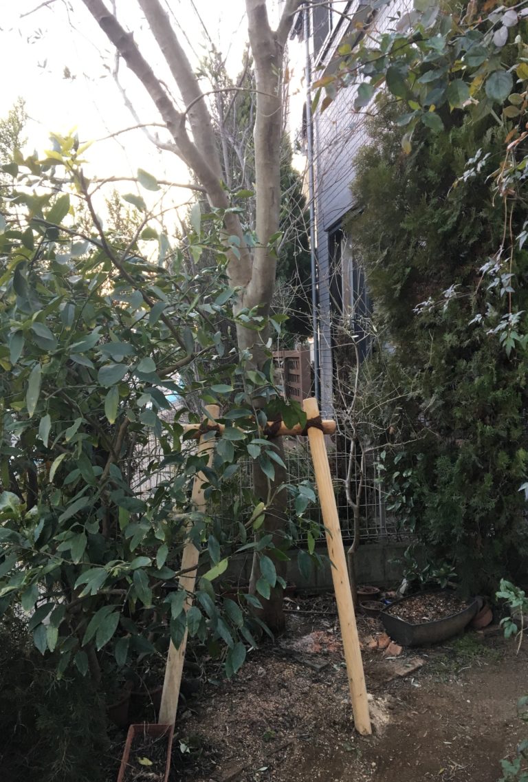 傾いた木に支柱を お庭の専門店ニワナショナル 東京 埼玉