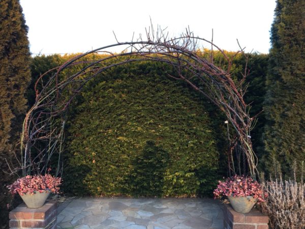 バラアーチ 冬剪定 お庭の専門店ニワナショナル 東京 埼玉