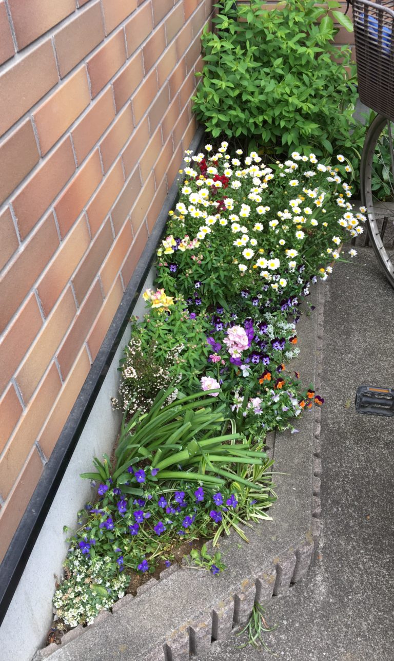 花壇の年間管理なら お庭の専門店ニワナショナル 東京 埼玉