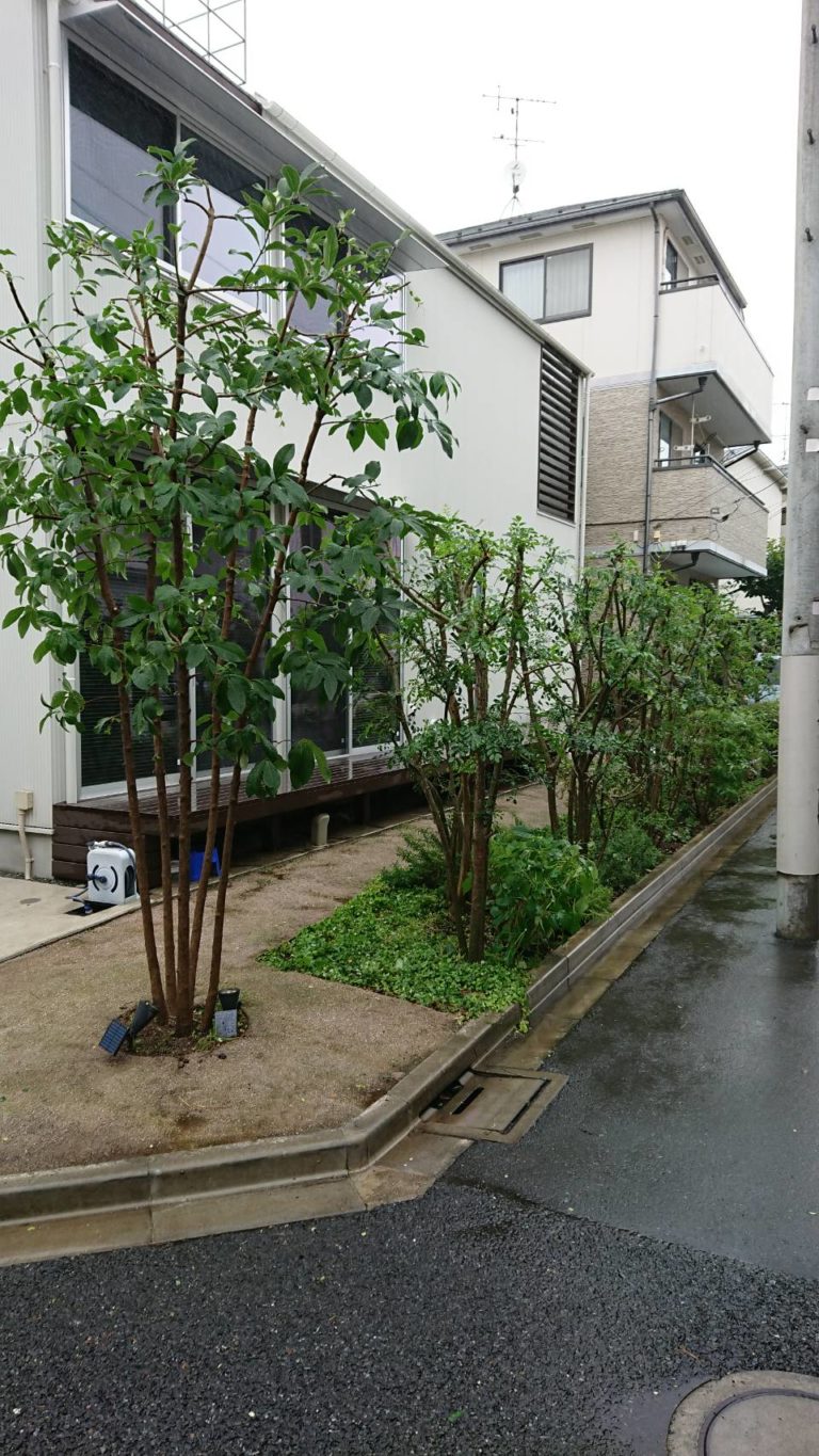 シマトネリコの生垣のご相談なら お庭の専門店ニワナショナル 東京 埼玉