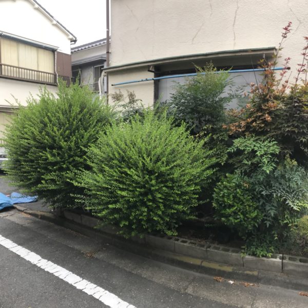 植木の剪定 刈り込みなら お庭の専門店ニワナショナル 東京 埼玉