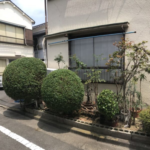 植木の剪定 刈り込みなら お庭の専門店ニワナショナル 東京 埼玉