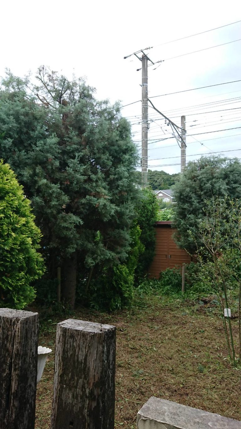 コニファーの剪定は お庭の専門店ニワナショナル 東京 埼玉