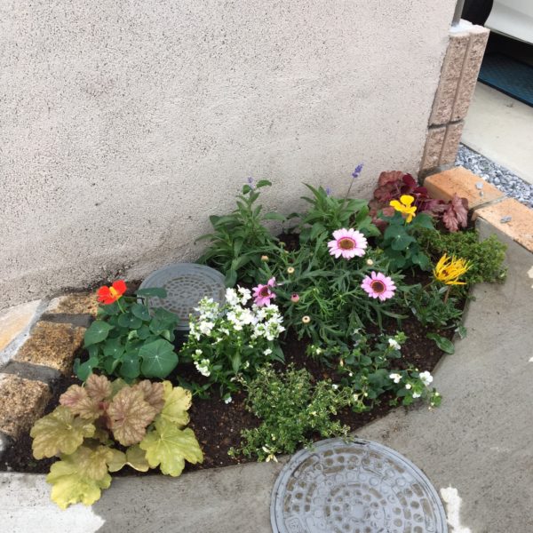 花植え ガーデニングを気軽に依頼するなら お庭の専門店ニワナショナル 東京 埼玉