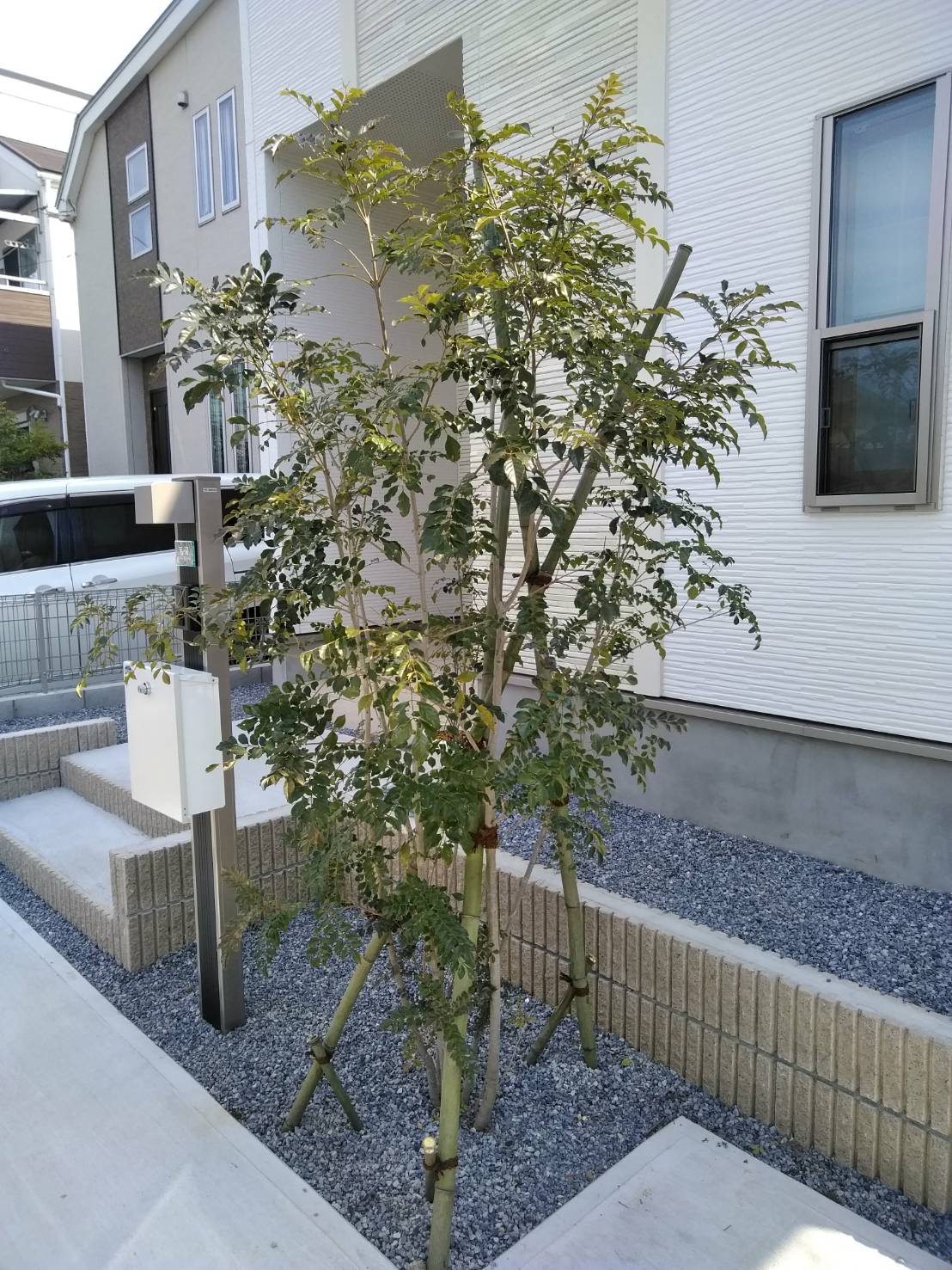 庭木の支柱立てなら お庭の専門店ニワナショナル 東京 埼玉