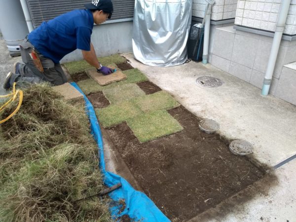 芝の張替え 既存の芝はがし後 Tm9の芝張り 川口市 お庭の専門店ニワナショナル 東京 埼玉